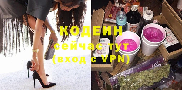 хмурый Каменногорск