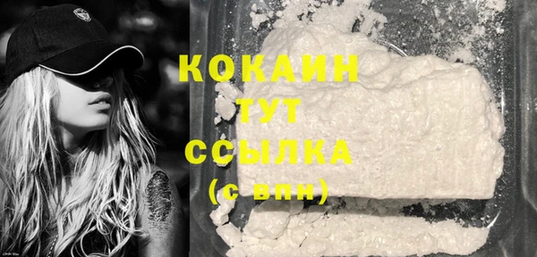 кокс Каменка