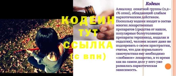 хмурый Каменногорск