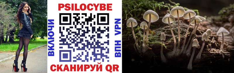 Купить где  Сыктывкар  Галлюциногенные грибы Magic Shrooms 
